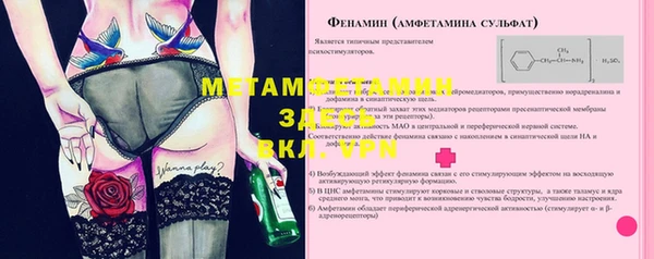 шишки Беломорск