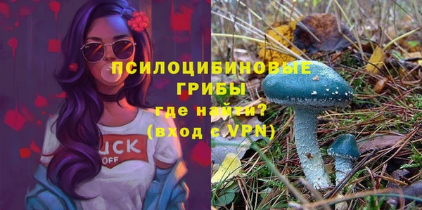 шишки Беломорск