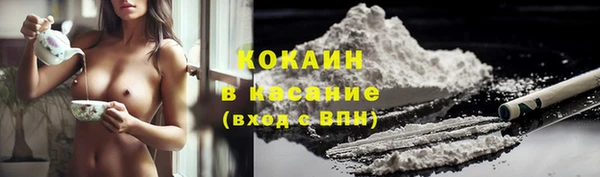 шишки Беломорск