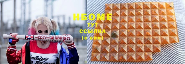 шишки Беломорск