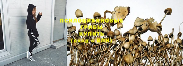 шишки Беломорск