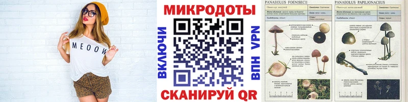 Псилоцибиновые грибы прущие грибы  Краснокаменск 